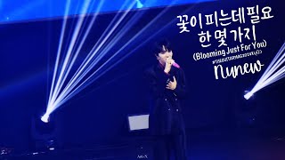 [Fancam] 꽃이 피는데 필요한 몇 가지 (Blooming Just For You) - Nunew #TheGuitarMag2024xนุนิว