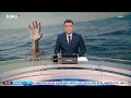 Kursk, Xerson, Zaporojye və Donetsk istiqamətlərində hərbi əməliyyat keçirildi  - Baku TV CANLI