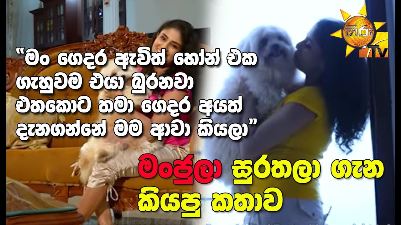 number one for me lyrics මංජුලා කුමාරි සුරතලා ගැන කියපු කතාව... | MY PET | EP 06