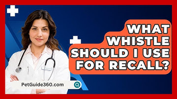 What Whistle Should I Use For Recall? - PetGuide360.com