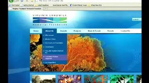 John Tanzer - Virginia Chadwick Memorial Foundation