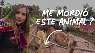 Antes del Machu Picchu hice un recorrido por la ciudad de Cusco I Perú Vlog #3