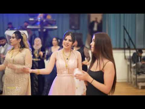 Part 1 / Rodi & Najah // Delil Sileman /Group Medya Pro 4K رقص شيخاني