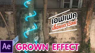 สอนทำ'Grown Effect' After Effect | AI MOO-FX (หมู)