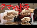 【どっちが強い??】クマvsトラ
