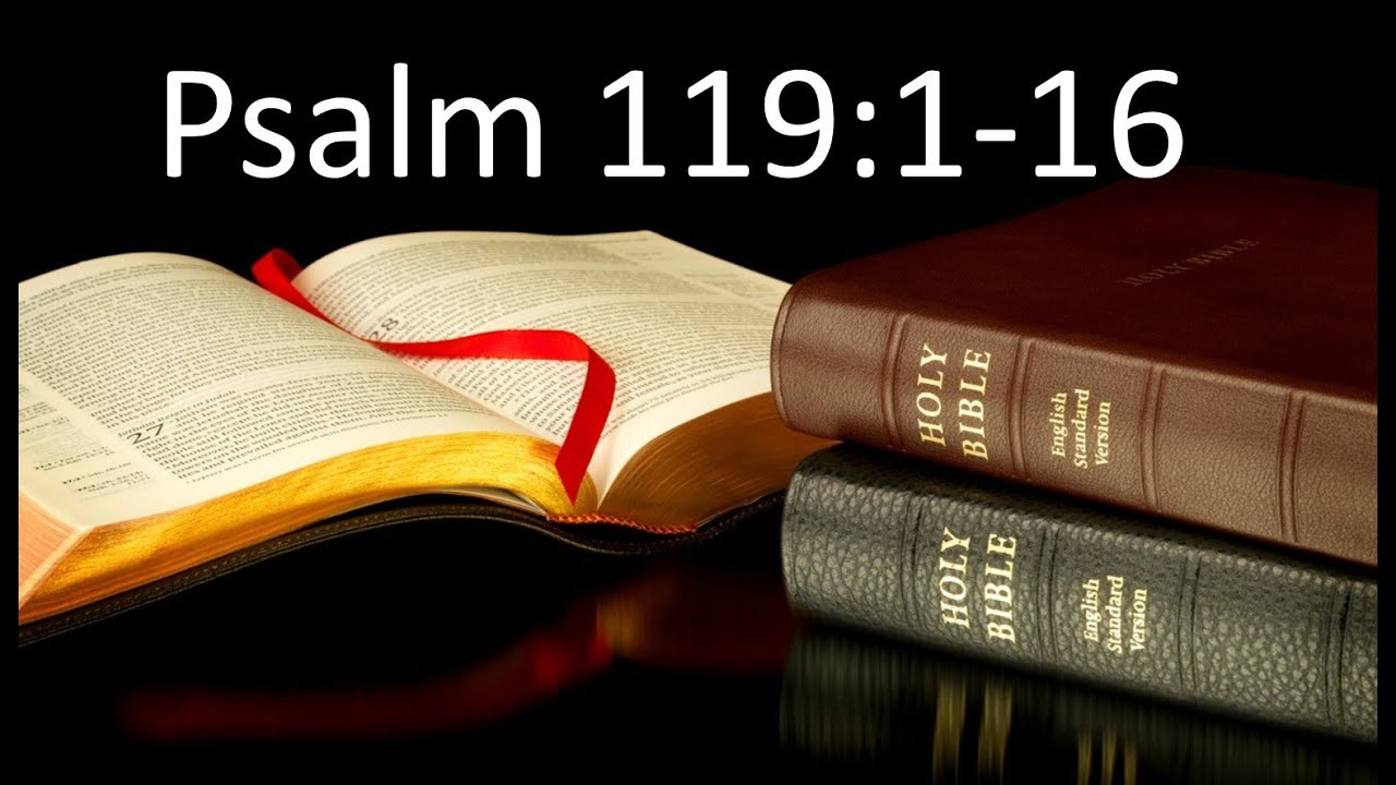 Elim Sunday Jan 26 2025 Psalm 119 1 16 YouTube elim-sunday-jan-26-2025-psalm-119-1-16-youtube