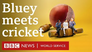 When Bluey meets cricket  Stumped, BBC World Service