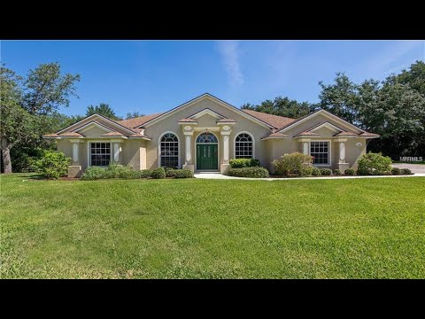 11807 RIDGE VIEW CIRCLE, Clermont, FL home video tour
