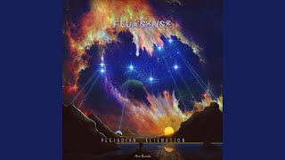 Divinity Plane - Fluxsense