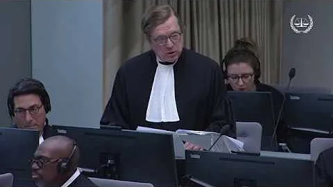 Ambassador David Scheffer Argues before the Intern...
