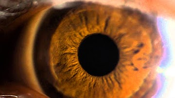 Wordclock - A Lack of Language