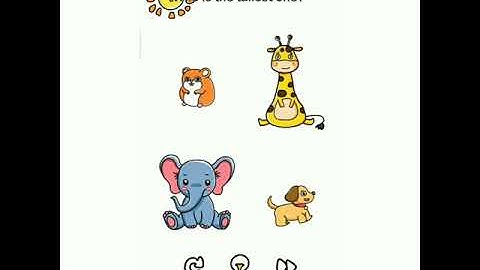 brain out level 1-10