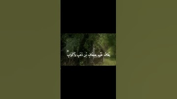 سورة الزخرف ايه ٧٠ الى ايه ٧١ #اكسبلور #لايك #المصحف #ترند #قرآن #تيك_توك #قران_كريم #راحة_نفسية