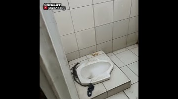 AWAS!!! MUSIM PANAS BIAWAK BANYAK MASUKK KE KAMAR MANDI