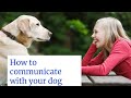 Best 10 Ways How to communicate with your dog