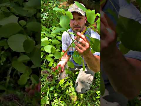 أسوأ تجربة ممكنة في الصيد