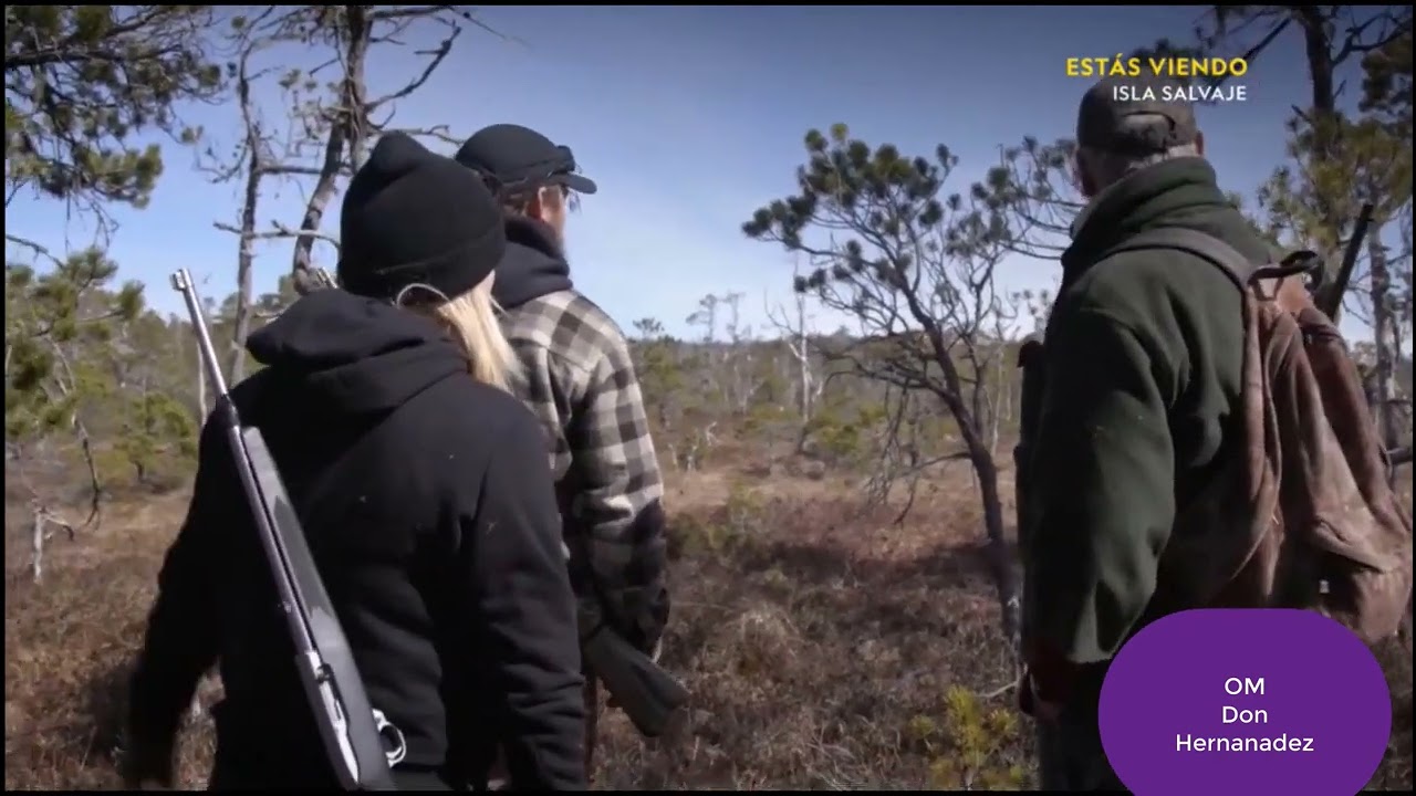 Isla Salvaje - Doblaje latino de don Hernandez - Parte 1
