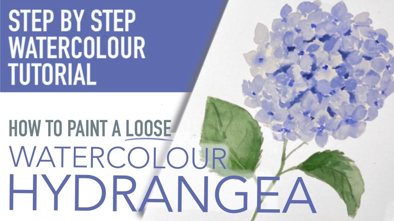 How to Paint a Loose Watercolour Hydrangea - A Beginner Watercolour Tutorial
