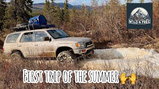 Off Grid Cabin in Remote Alaska: First Trip of Summer…several weeks later than normal because…SNOW!