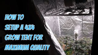 COMPLETE 4x4 GROW TENT SETUP 2023