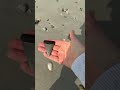 Finding Fossils along the shore