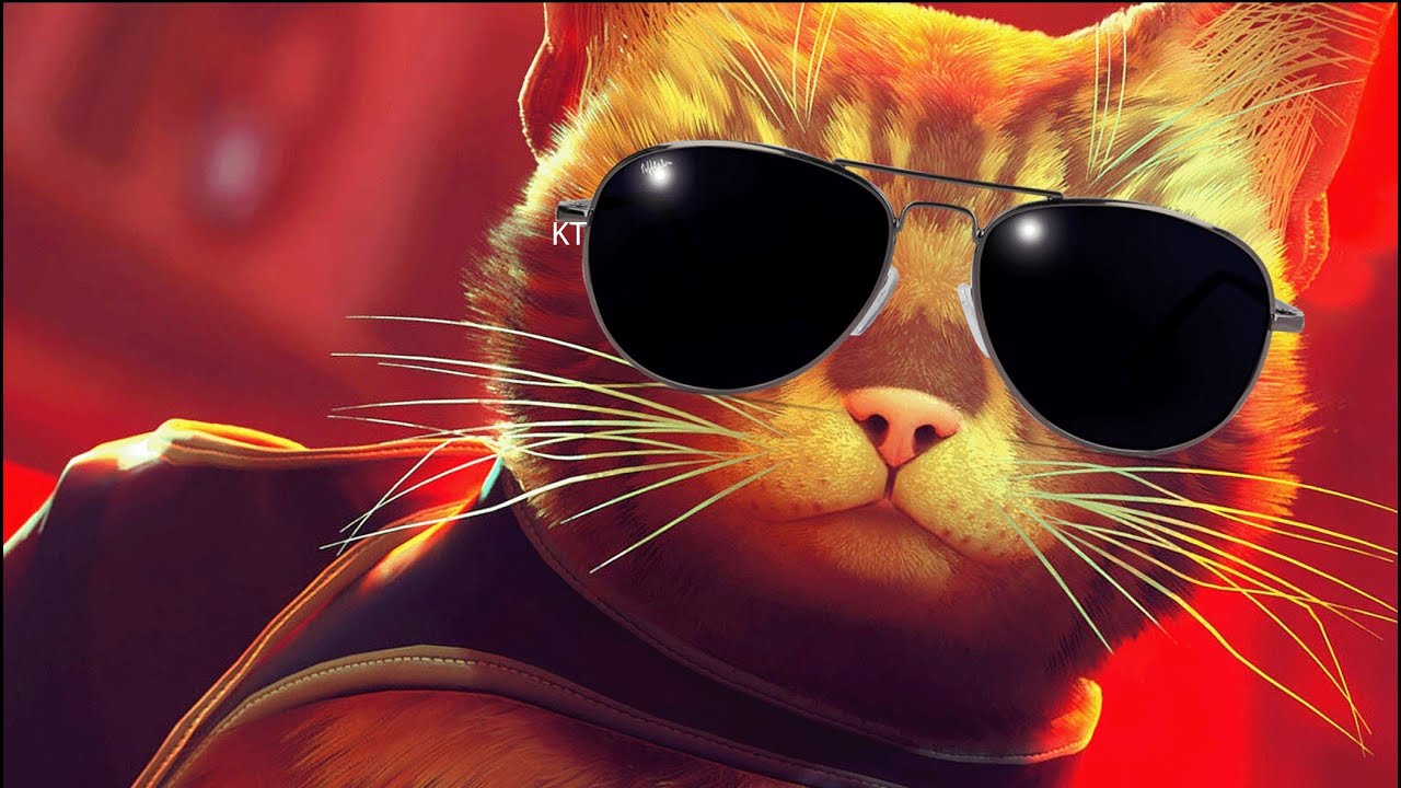 Stray - Wake up samurai we have a city to burn