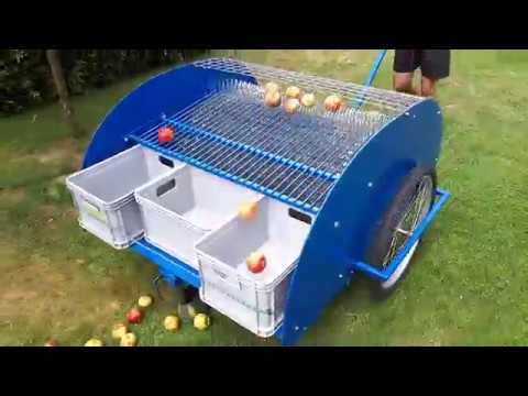 Wideo: Zbieranie jabłek w Nowej Anglii - Zbieraj własne jabłka