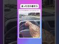 腕からわかる強者感#shorts #刃牙 #おすすめ