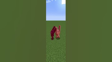 Iron Golem VS Crying Obsidian Golem In Minecraft!