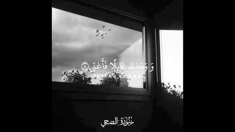 حالات واتساب قرأن كريم " سورة الضحي" 🌍🌸