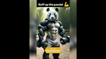 Chatly - AI Chat Bot Assistant