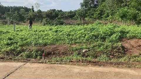 Mặt Tiền 7x20 View Hồ Châu Pha - Liền Kề Đường Vành Đai 4 - Cổng sau KCN Sonadezi Châu Đức 1.556ha