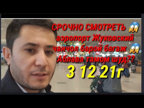 Билет душанбе жуковский 2024. Жуковский Душанбе. Жуковский Душанбе 20. Жуковский Душанбе 20 февраля. Билет Жуковский Душанбе.