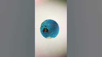 Ocean currents around the earth #shorts #animation