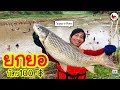 ยกยอ อ่างน้ำเงิน ►Fishing lifestyle Ep.311