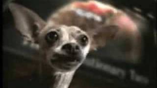 Famous Gidget the Chihuahua - Taco Bell Commercial(Taco Revolution) Wealth
