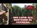 BRS CAPIM AÇU MONTAGEM DA CAPINEIRA.