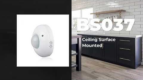 Best Ceiling Surface Mounted PIR Motion Sensor BS037| RAYZEEK TECH FactoryPrice-