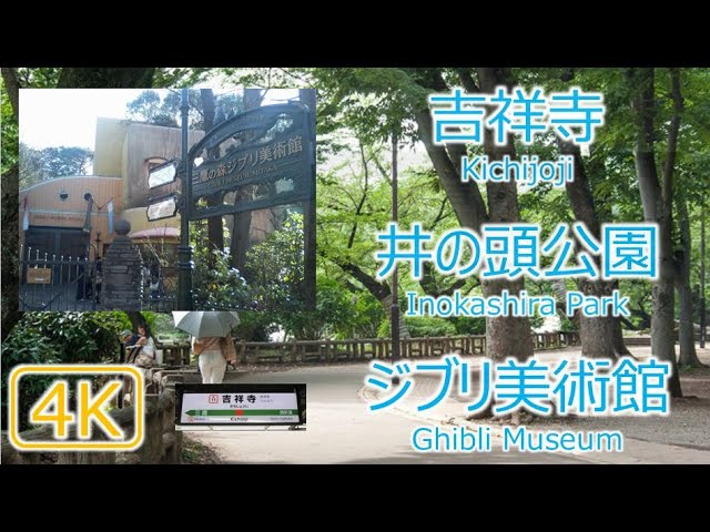 4k散歩 吉祥寺 井の頭公園 三鷹の森ジブリ美術館 Kichijoji Inokashira Park Ghibli Museum Youtube