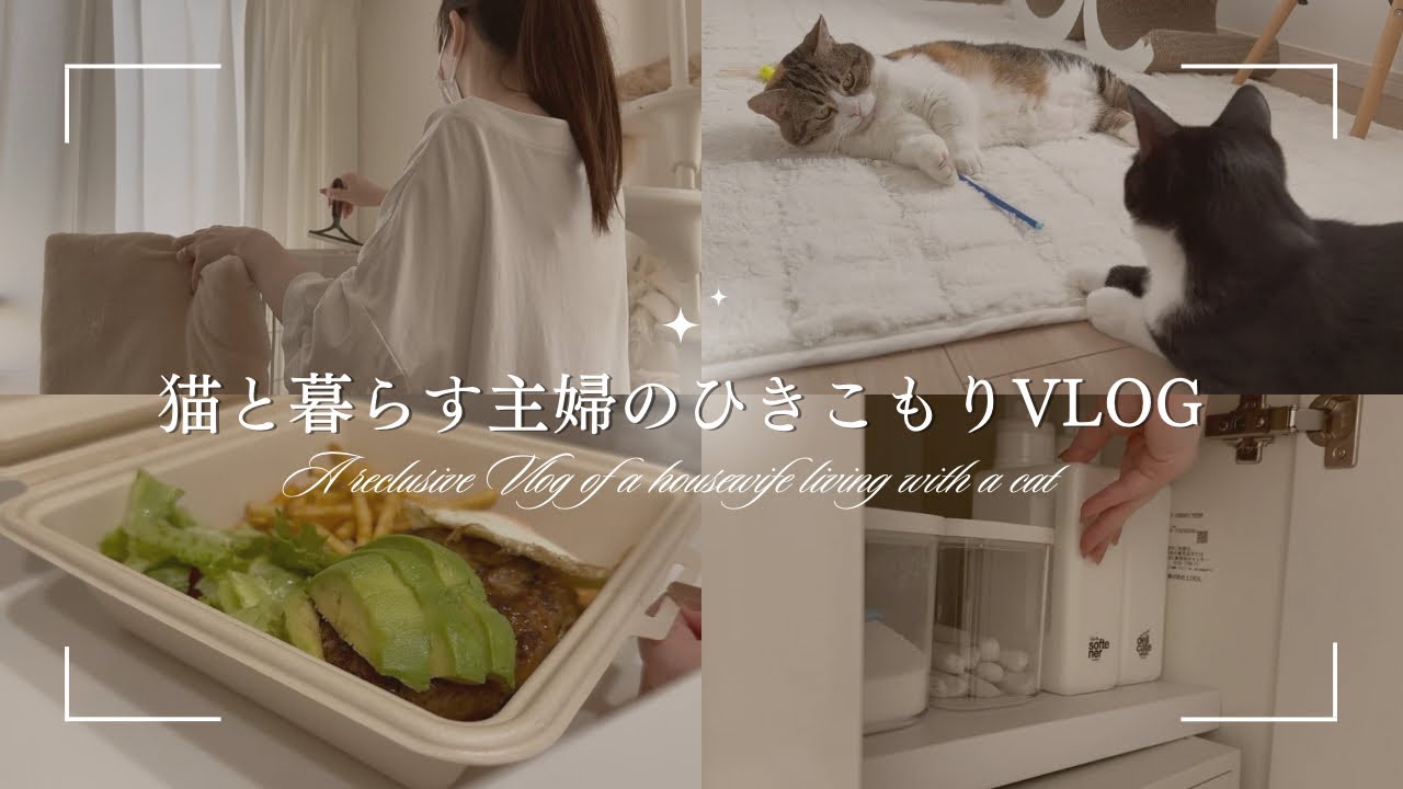 【猫4匹と暮らす】ひきこもり主婦の休日Vlog｜猫と掃除と楽するひとりご飯