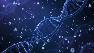 What us a SNP The Tiny DNA Changes That Make Us Different