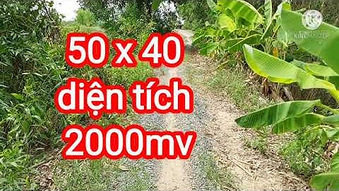 bán đất kiến tường ,giá rẻ 0966994787