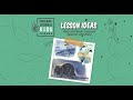 Invasive Species and Their Impact on Seabirds in Island Ecosystems