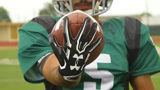 ProTips: Football: Tips for Securing the Football screenshot 1