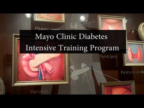 Mayo Clinic Diabetes Intensive Training Program