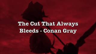 The Cut That Always Bleeds - Conan Gray (Lyrics)