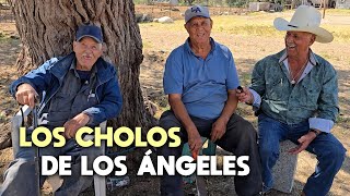 YA ME VINE A MI MÉXICO, ALLÁ BATALLÉ CON LOS CHOLOS y AQUÍ CON MIS ANIMALES