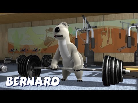 Медведь Бернард | Спортзал и многое другое | Мультфильмы для детей | Полные серии