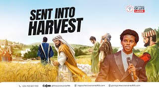 SENT INTO HARVEST || OLUWATOBILOBA OSHUNBIYI || THE COVENANT OF LIFE, LAGOS