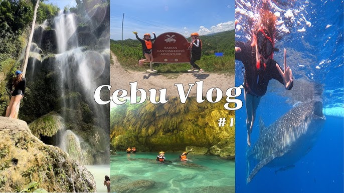 Vlog] 세부 4박 5일 여행 🐋🫧 (로컬페이지 고래상어&캐녀닝 투어+래디슨 블루 호텔+조식+졸리비+츄비츄비+아얄라몰) -  Youtube